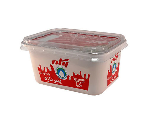 پنیر سفید پگاه - 450 گرمی