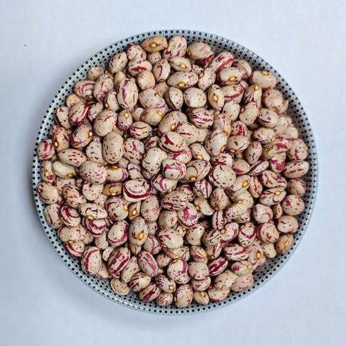 لوبیا چیتی خمین - درجه یک و با کیفیت (کیلویی)