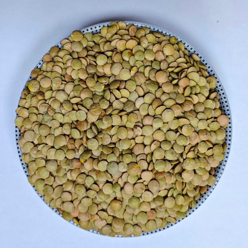 عدس درشت اعلاء - درجه یک و با کیفیت (کیلویی)