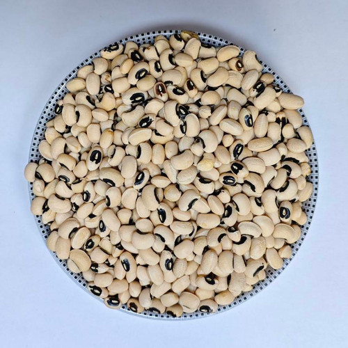 لوبیا چشم بلبلی - درجه یک و با کیفیت (کیلویی)