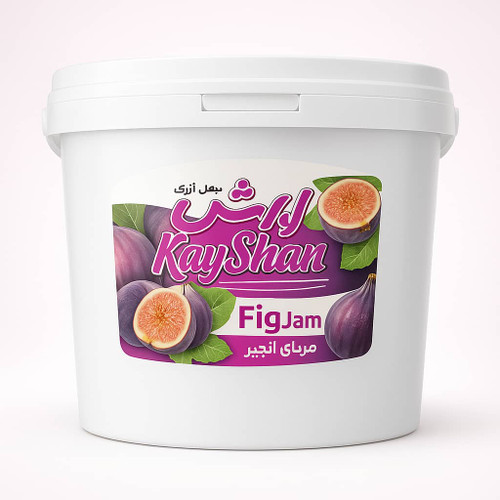 مربا انجیر فله 4 کیلویی رایشن